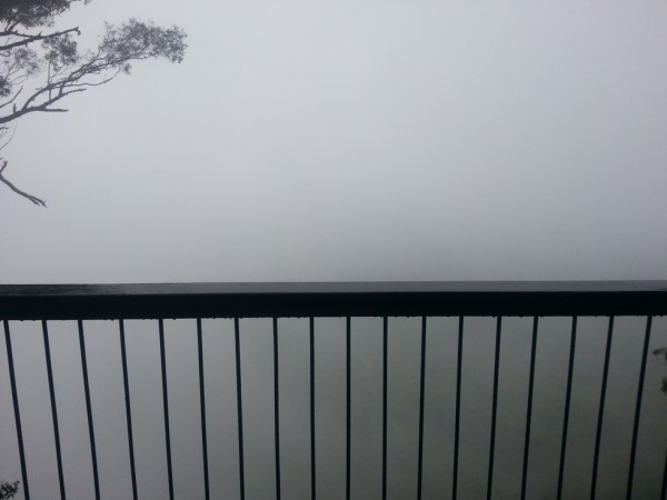 The View