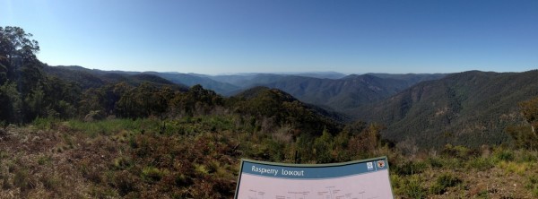 IMG_4293.jpg